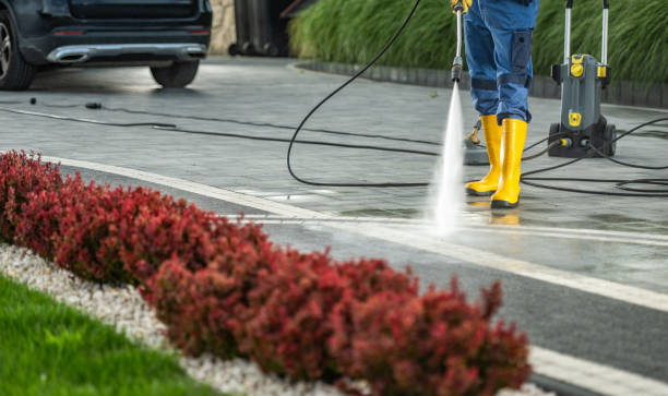 Best Animal Enclosure Cleaning  in Uhland, TX